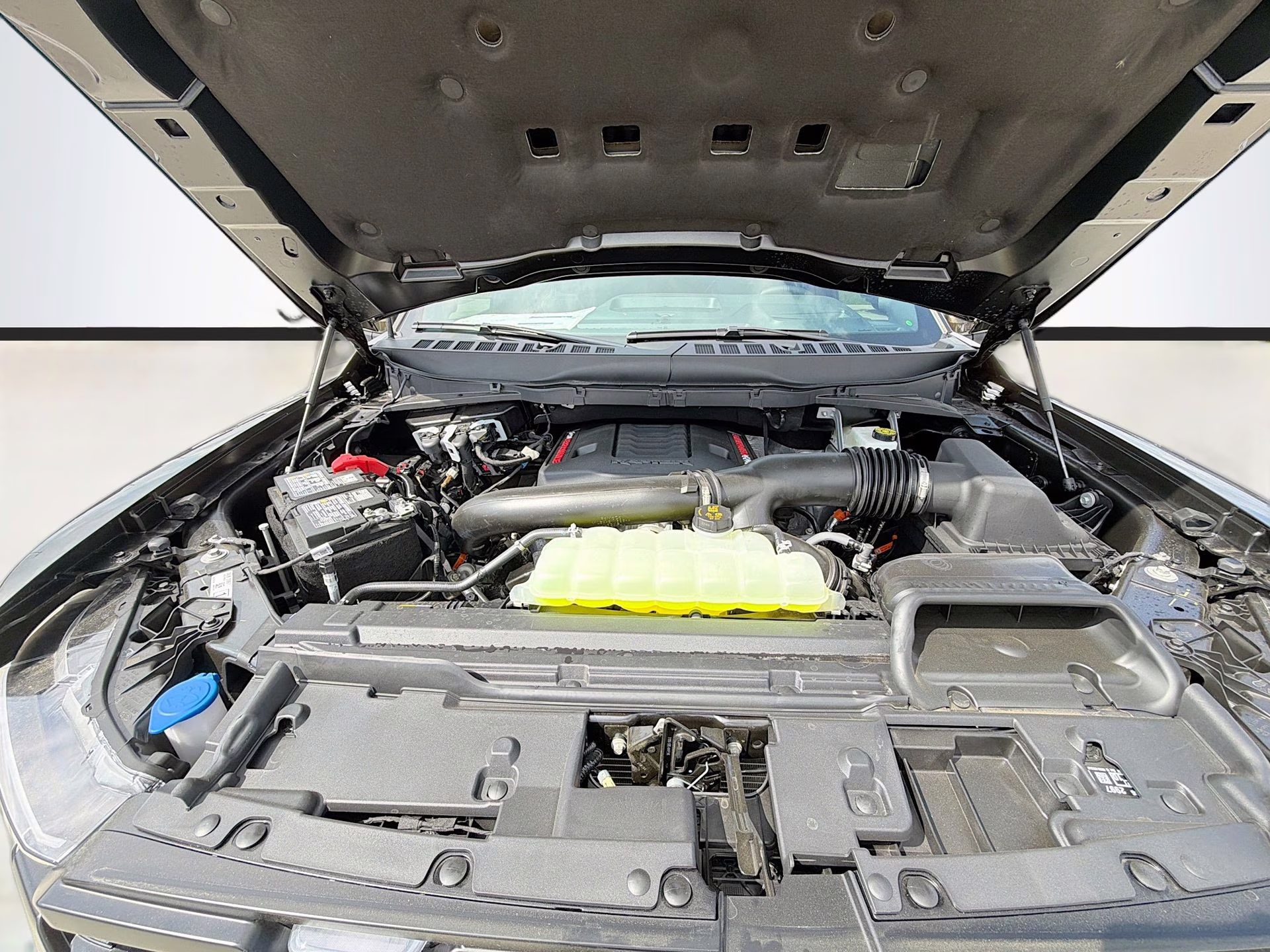 2026 Shelter Green Ford F-150 Raptor 4X4 Truck