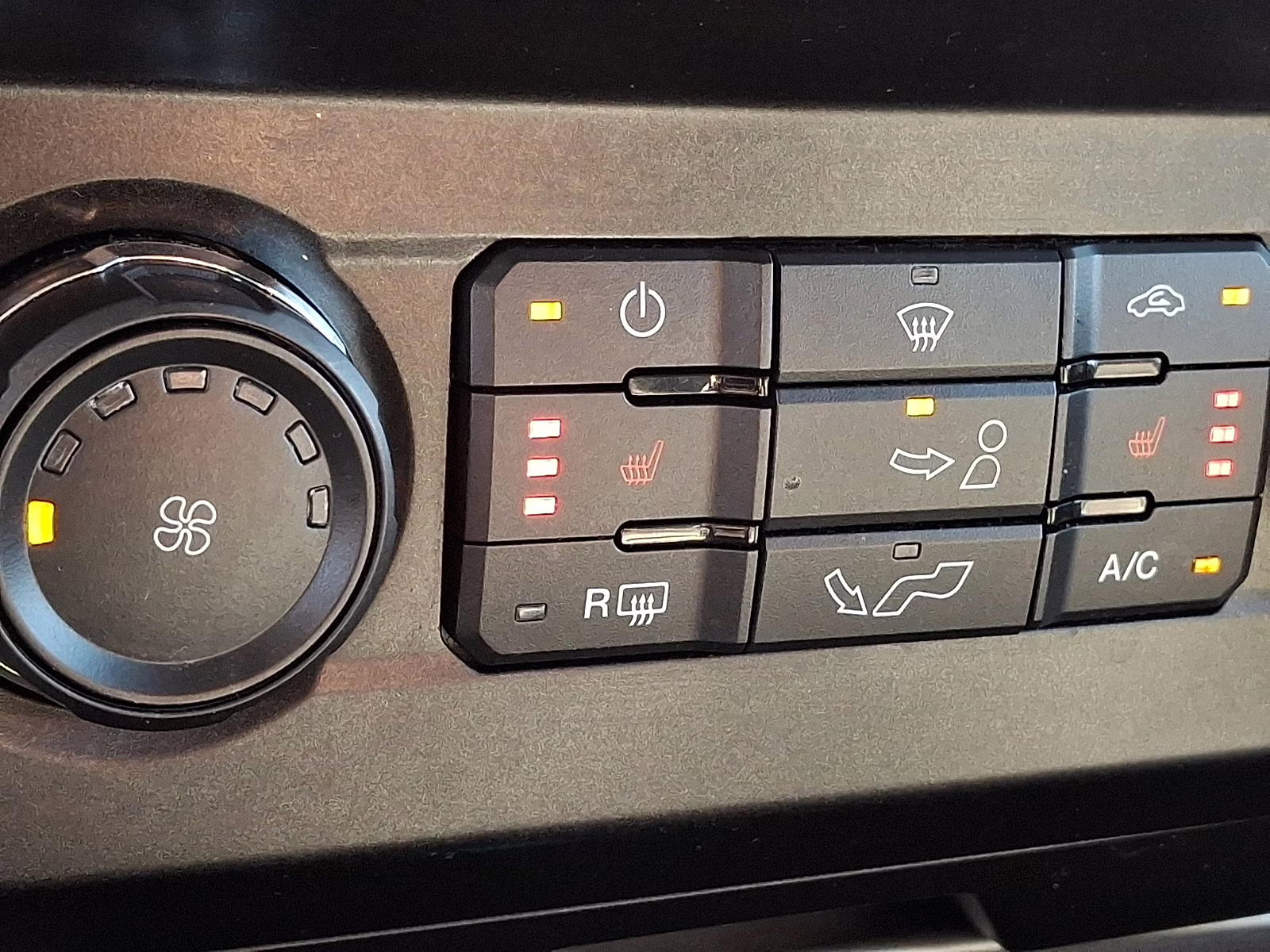 2019 Blue Jeans Metallic - N1 Ford F-150 XLT 4X4