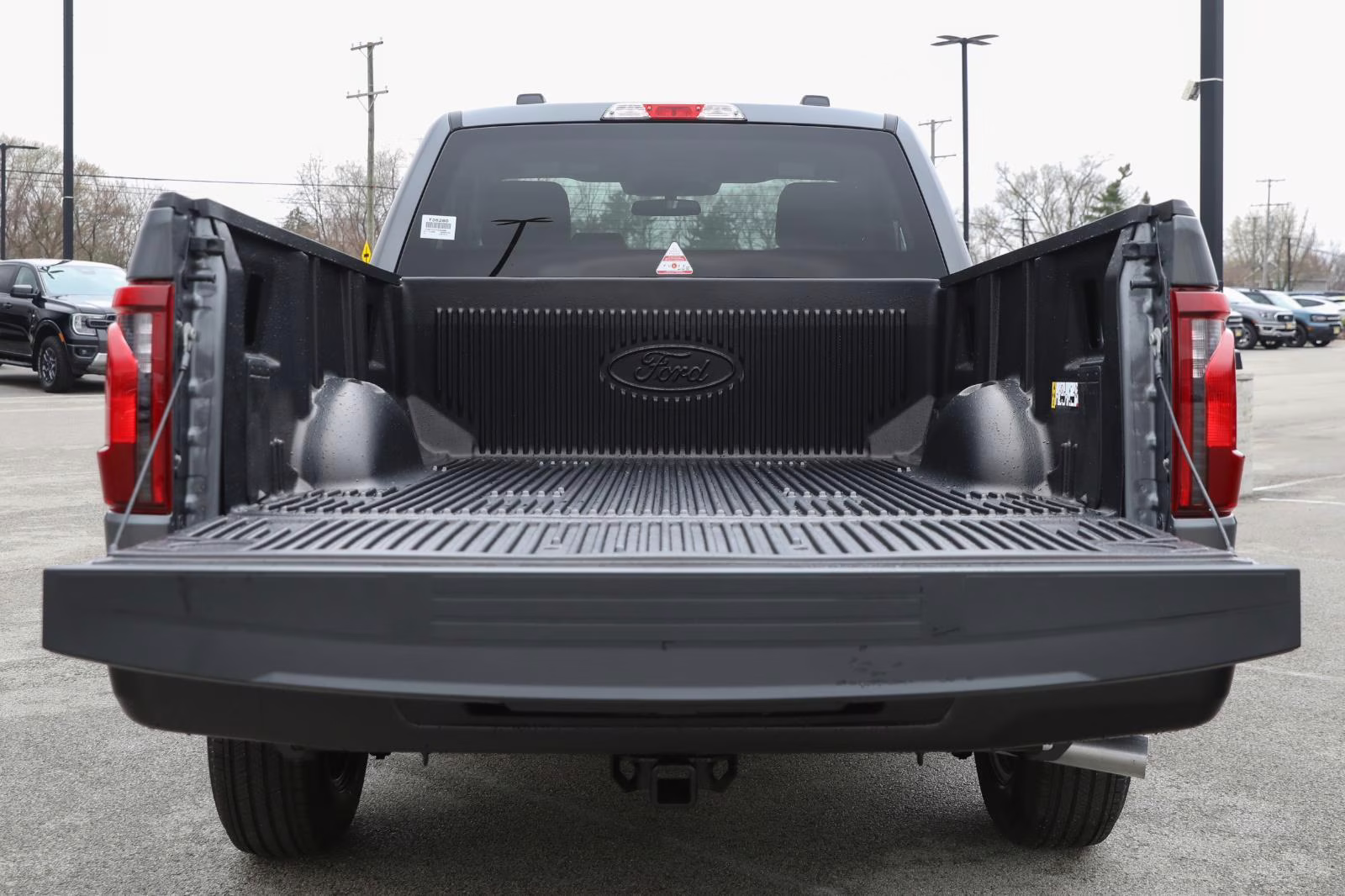 2026 Carbonized Gray Ford F-150 XL RWD Truck