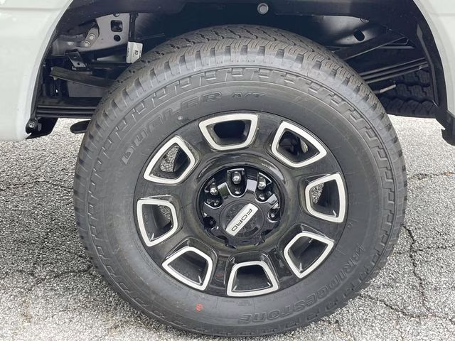 2026 Avalanche Ford Super Duty F-250 SRW Platinum 4X4 Truck