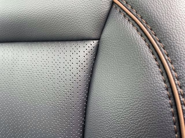 2026 Avalanche Ford Super Duty F-250 SRW Lariat 4X4 Truck