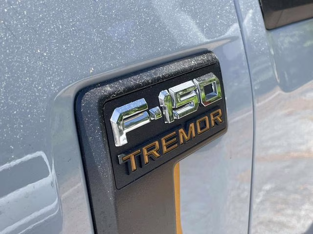 2026 Avalanche Ford F-150 Tremor 4X4 Truck