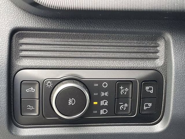 2026 Avalanche Ford Super Duty F-250 SRW Platinum 4X4 Truck