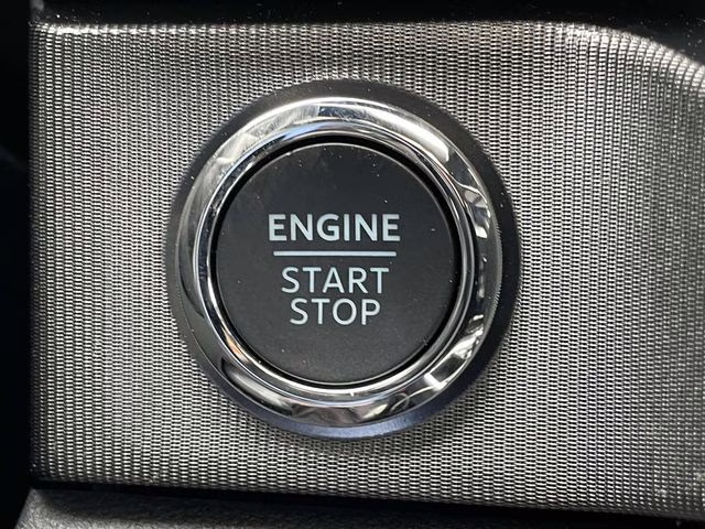 2026 Avalanche Ford Super Duty F-250 SRW Platinum 4X4 Truck