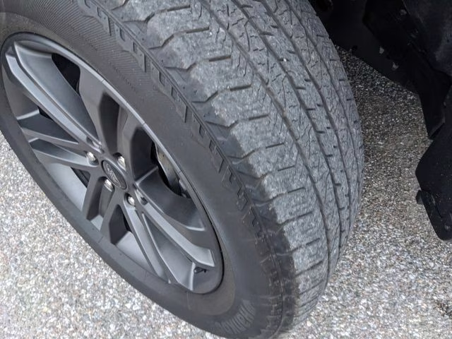 2023 Area 51 Blue Ford F-150 XLT 4X4 Truck