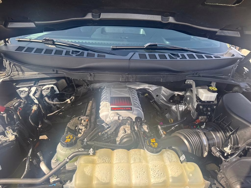 2024 Green Ford F-150 Raptor 4X4 Truck