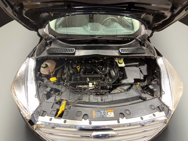 2019 Agate Black Metallic Ford Escape SE FWD SUV