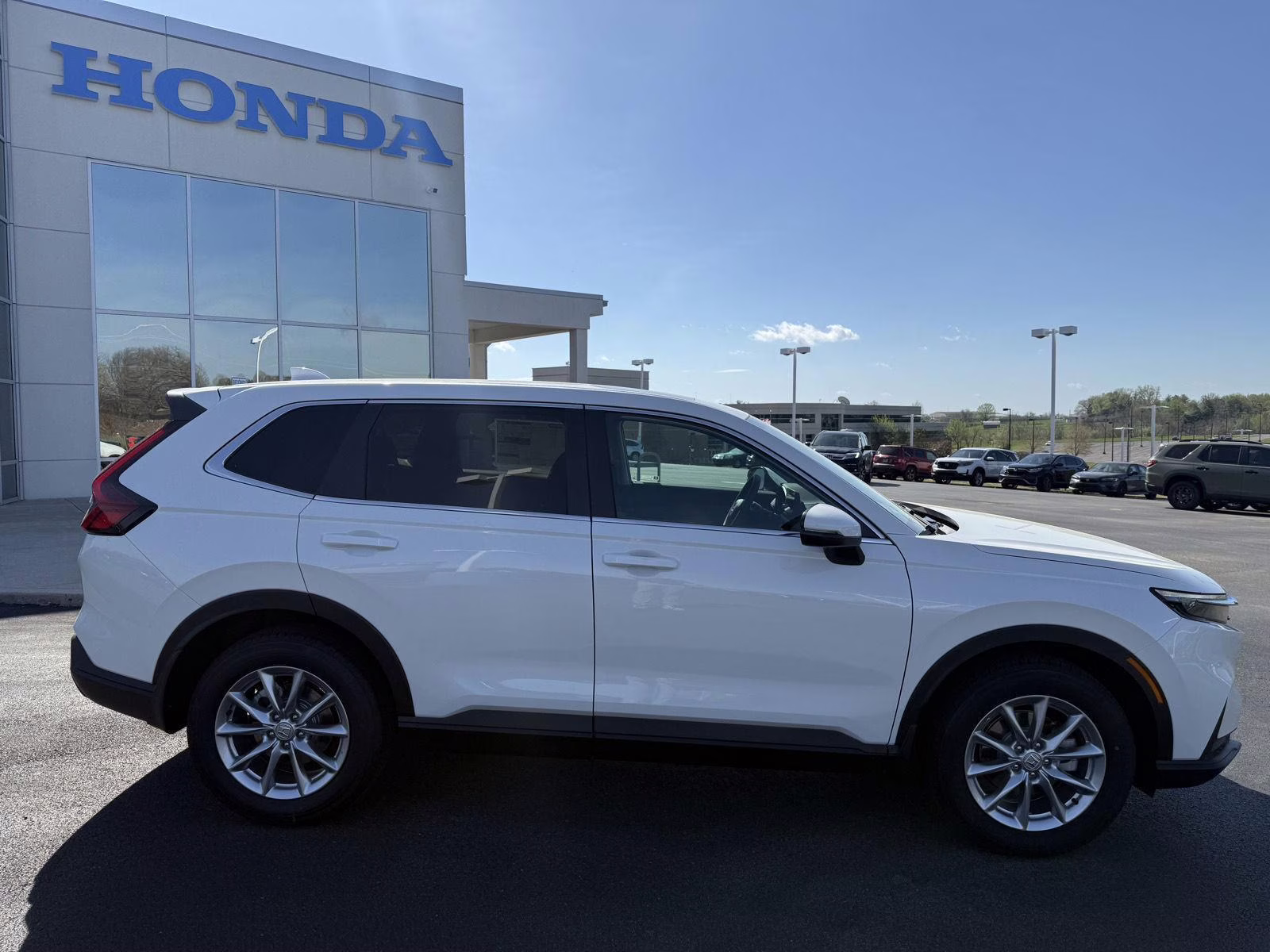 2026 Platinum white pearl Honda CR-V EX AWD SUV