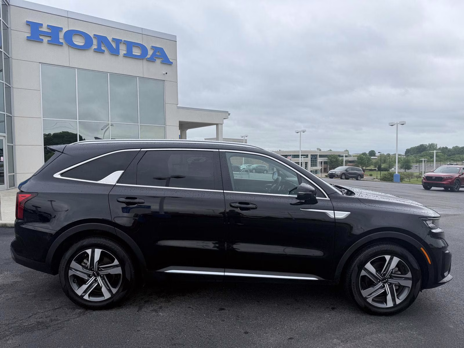 2023 Aurora Black Kia Sorento Hybrid EX AWD SUV