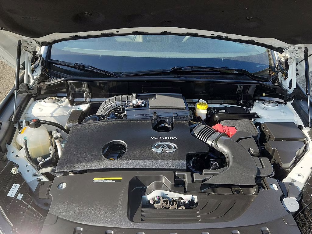 2023 Radiant White INFINITI QX55 LUXE AWD SUV