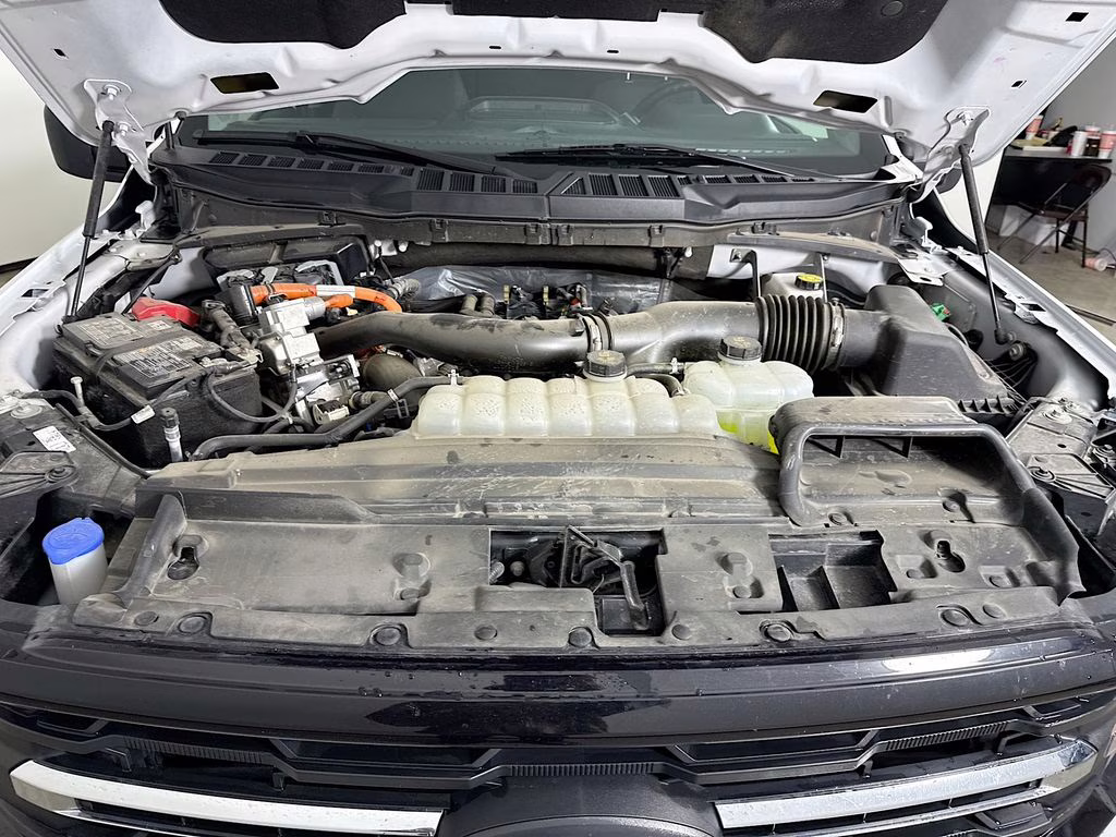 2025 Oxford White Ford F-150 XLT 4X4 Truck