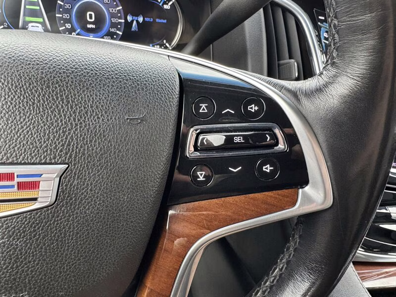 2019 Black Raven Cadillac Escalade ESV Luxury 4X4 SUV