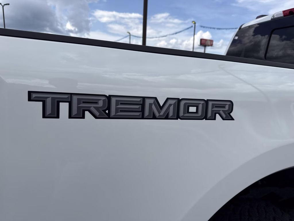2025 Star White Metallic TC Ford Super Duty F-350 SRW King Ranch 4X4 Truck