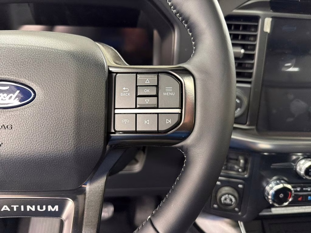 2026 AGATE BLACK Ford F-150 Platinum 4X4 Truck