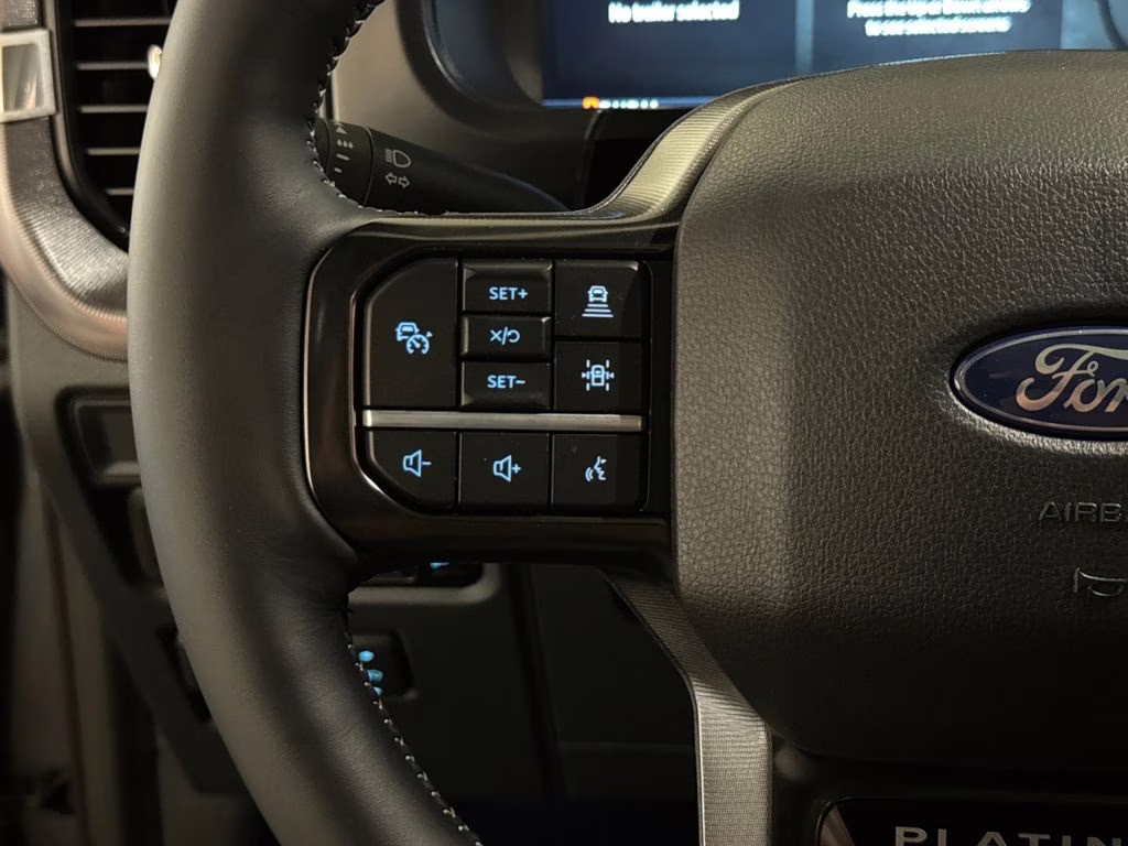 2026 Carbonized Gray Metallic Ford F-150 Platinum 4X4 Truck