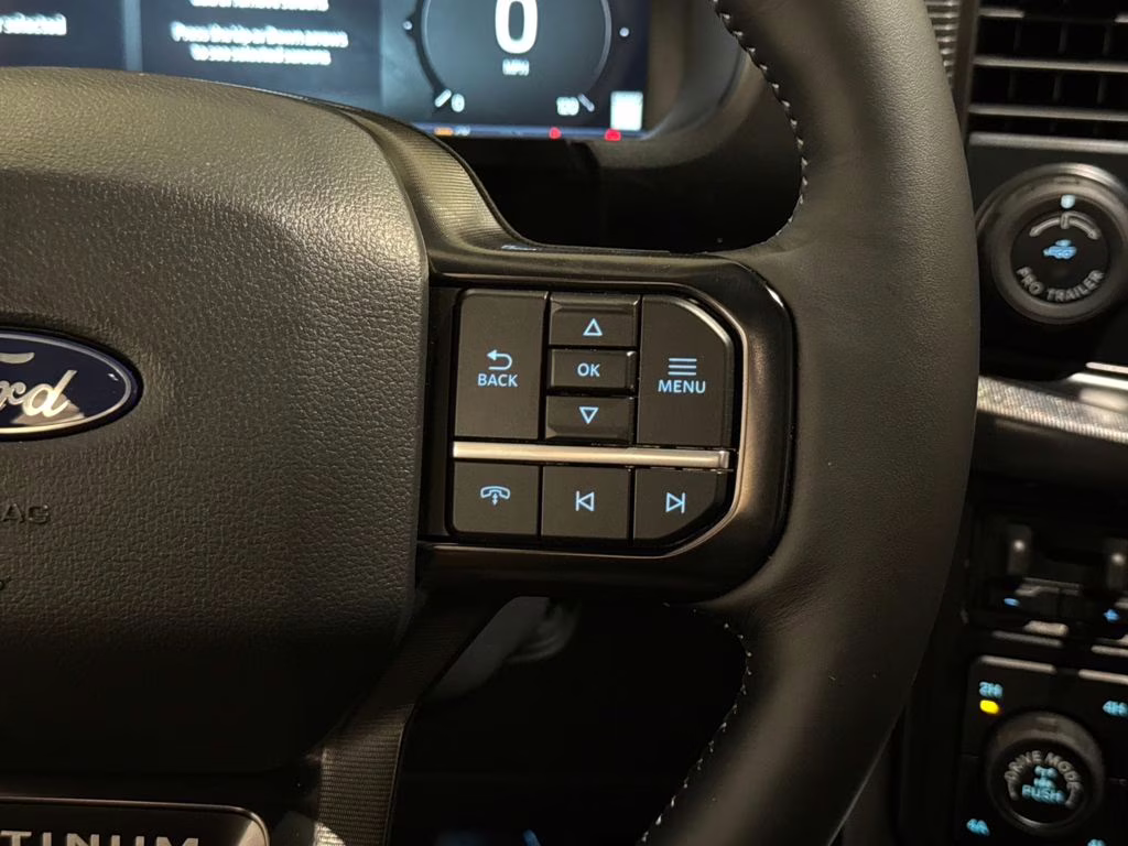 2026 Carbonized Gray Metallic Ford F-150 Platinum 4X4 Truck