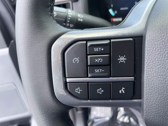 2026 Carbonized Gray Metallic Ford F-150 XLT RWD Truck