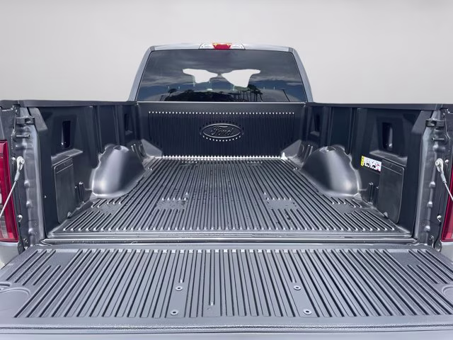 2026 Carbonized Gray Metallic Ford F-150 STX RWD Truck