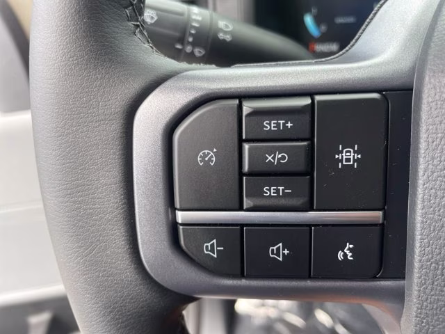 2026 Marsh Gray Ford F-150 XLT RWD Truck