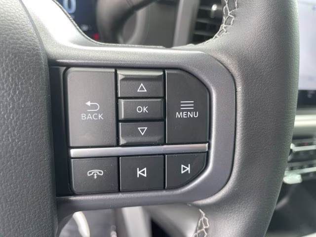 2026 Marsh Gray Ford F-150 XLT RWD Truck