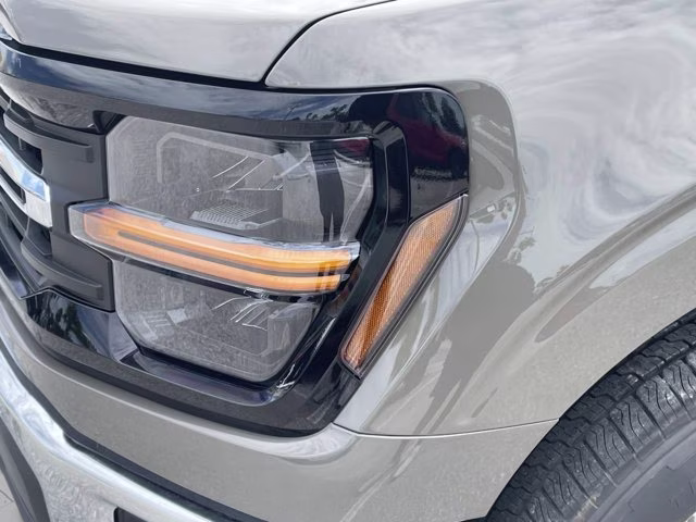 2026 Marsh Gray Ford F-150 XLT RWD Truck