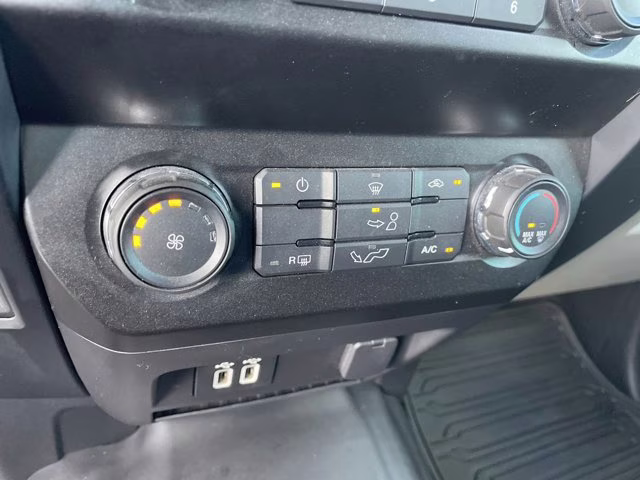 2019 Agate Black Metallic Ford F-150 XL 4X4 Truck