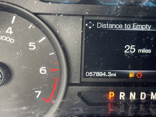 2019 Agate Black Metallic Ford F-150 XL 4X4 Truck