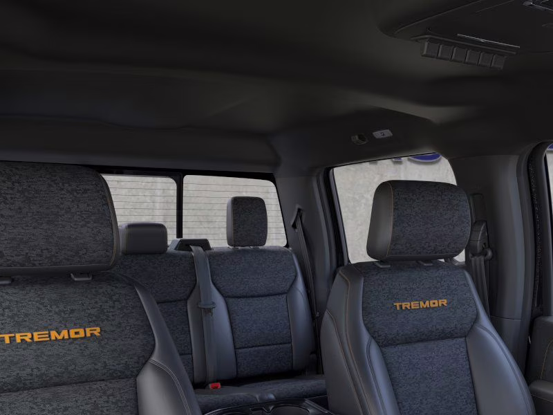 2026 Agate Black Metallic Ford F-150 Tremor 4X4 Truck