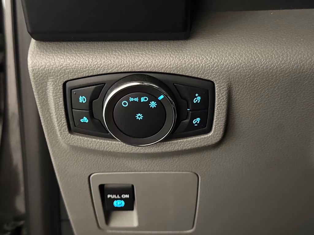 2020 Magnetic Metallic Ford F-150 XL 4X4 Truck