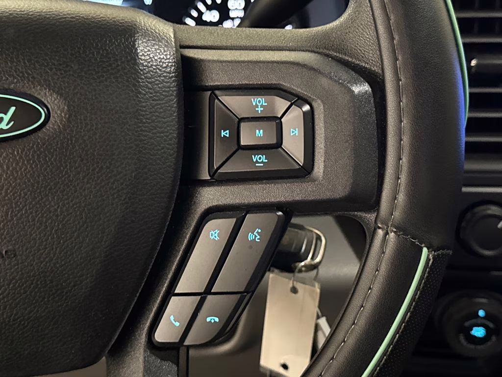 2020 Magnetic Metallic Ford F-150 XL 4X4 Truck