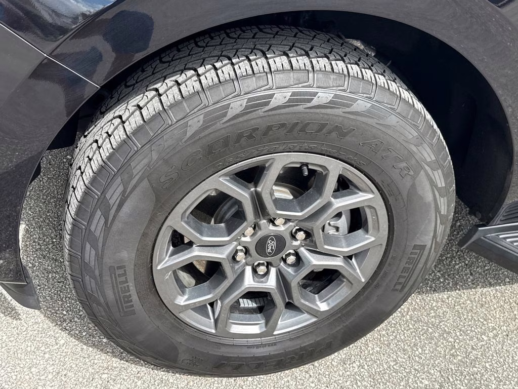 2025 Agate Black Metallic Ford Expedition Active RWD SUV