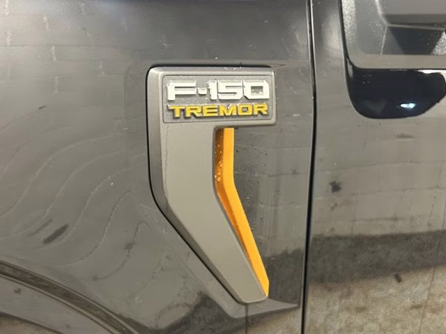 2026 Agate Black Metallic Ford F-150 Tremor 4X4 Truck