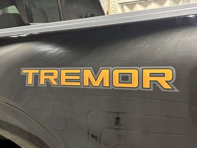 2026 Agate Black Metallic Ford F-150 Tremor 4X4 Truck