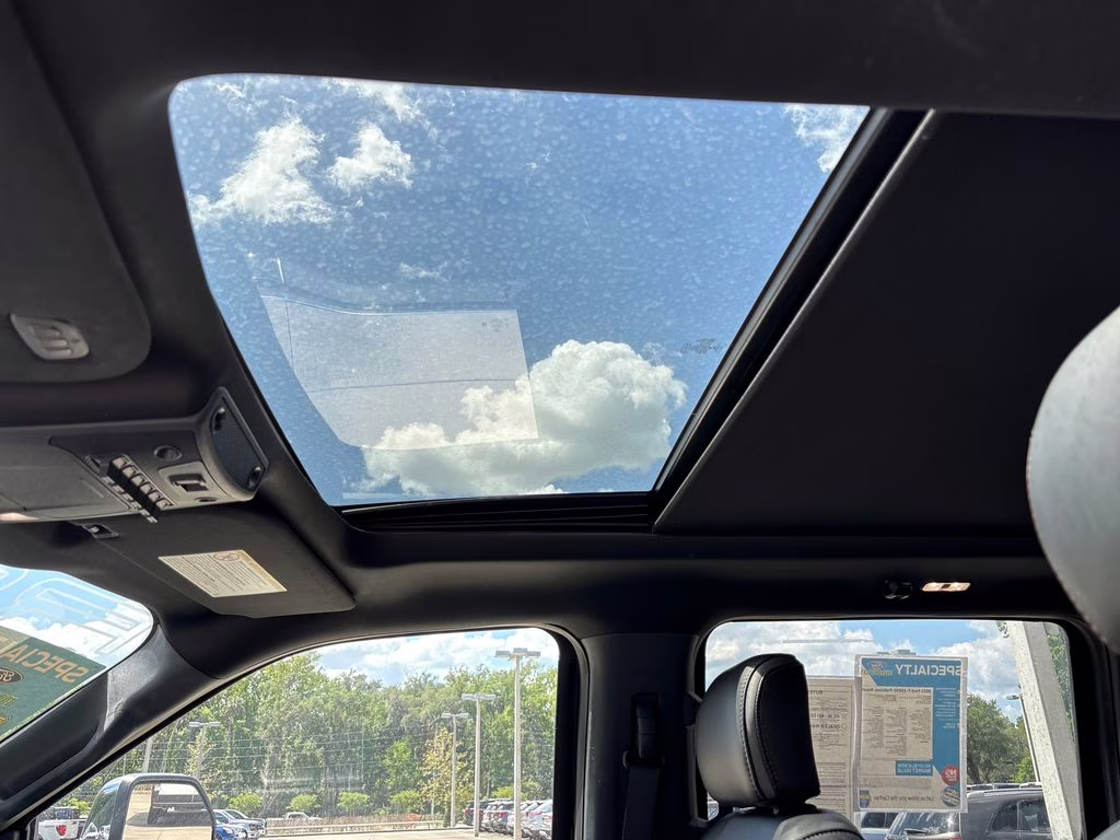 2022 Black Metallic Ford Super Duty F-250 SRW Platinum 4X4 Truck