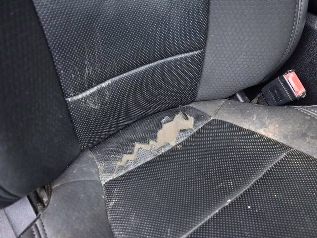 2019 Blue Metallic Ford F-150 Raptor 4X4 Truck