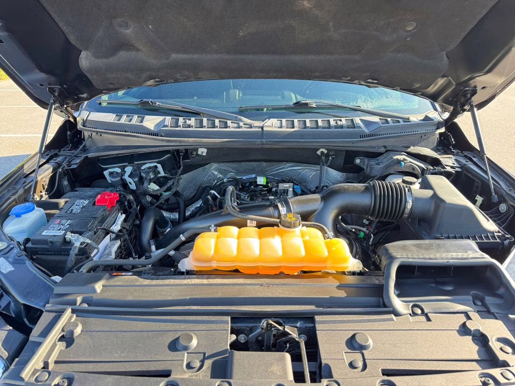 2019 Magma Red Metallic Ford F-150 XLT 4X4 Truck