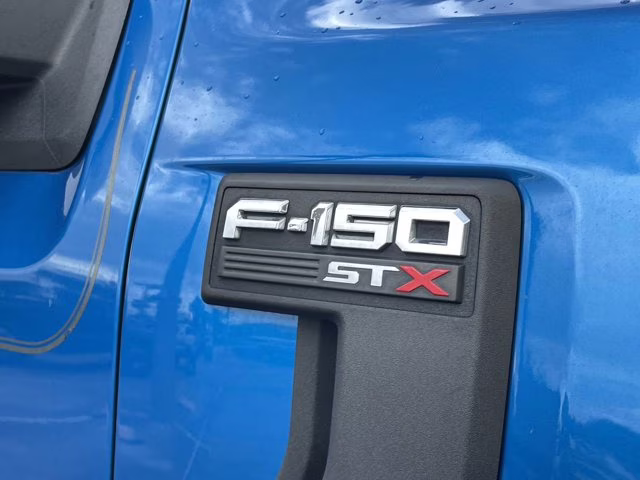 2021 Blue Metallic Ford F-150 XL 4X4 Truck