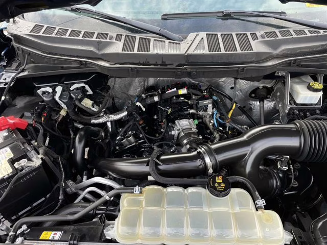 2021 Blue Metallic Ford F-150 XL 4X4 Truck