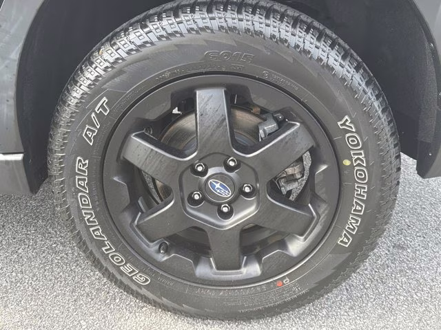 2023 Geyser Blue Subaru Outback Wilderness AWD SUV