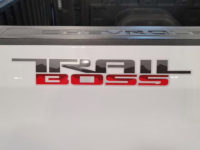 2020 Summit White Chevrolet Silverado 1500 Custom Trail Boss 4X4 Truck