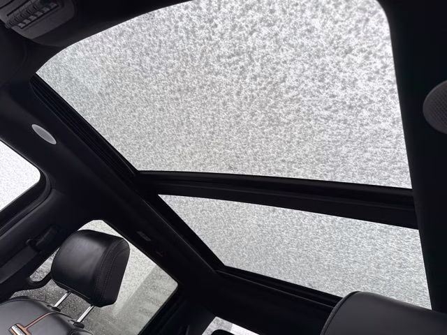 2024 Agate Black Metallic Ford Super Duty F-350 SRW Platinum 4X4 Truck