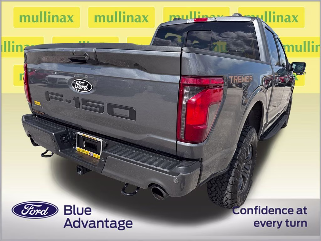 2025 Carbonized Gray Metallic Ford F-150 Tremor 4X4 Truck