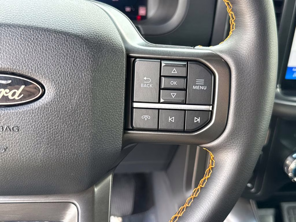 2025 Carbonized Gray Metallic Ford F-150 Tremor 4X4 Truck