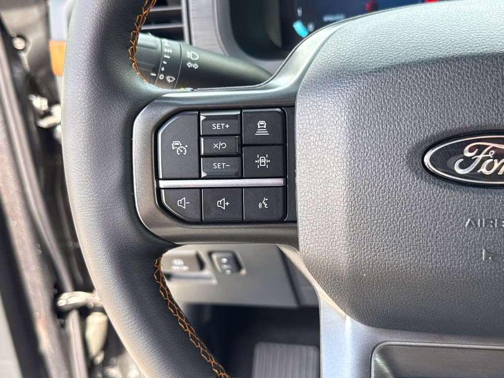 2025 Carbonized Gray Metallic Ford F-150 Tremor 4X4 Truck