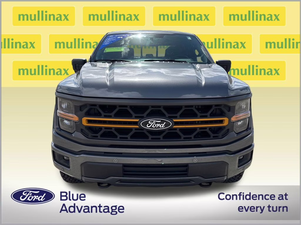 2025 Carbonized Gray Metallic Ford F-150 Tremor 4X4 Truck