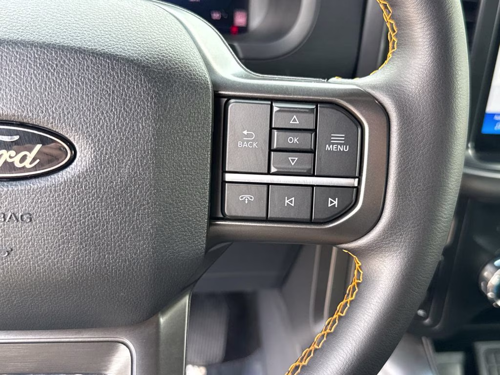 2025 Carbonized Gray Metallic Ford F-150 Tremor 4X4 Truck