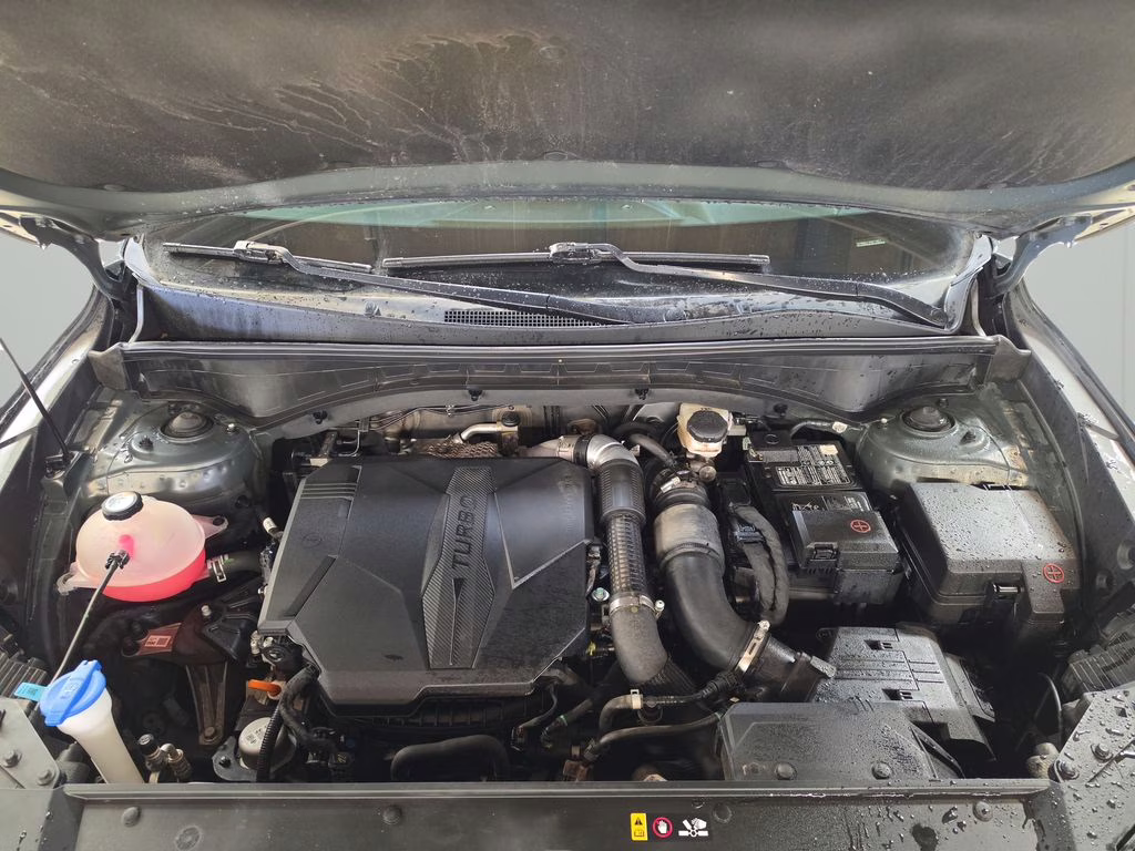 2023 Aruba Green Kia Sorento X-Line SX Prestige AWD SUV