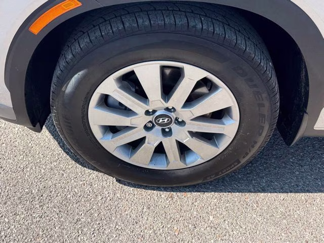 2025 Typhoon Silver Hyundai Palisade SEL AWD SUV