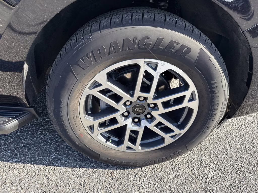 2025 Agate Black Metallic Ford Expedition Active RWD SUV