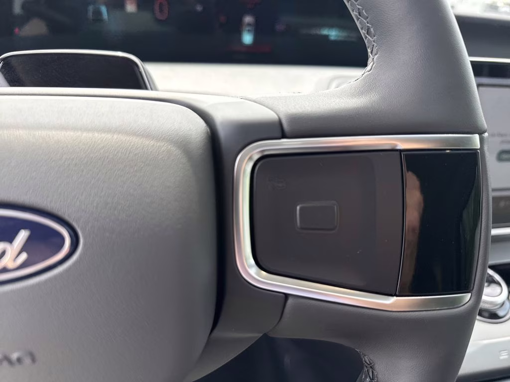 2025 Agate Black Metallic Ford Expedition Active 4X4 SUV